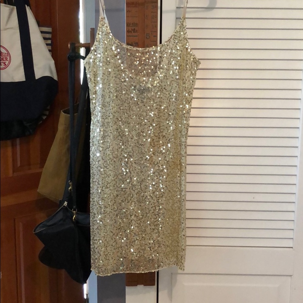 Free People Sequin Slip